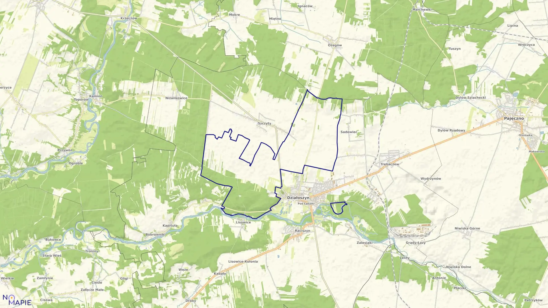 Mapa obrębu DZIAŁOSZYN w gminie Działoszyn
