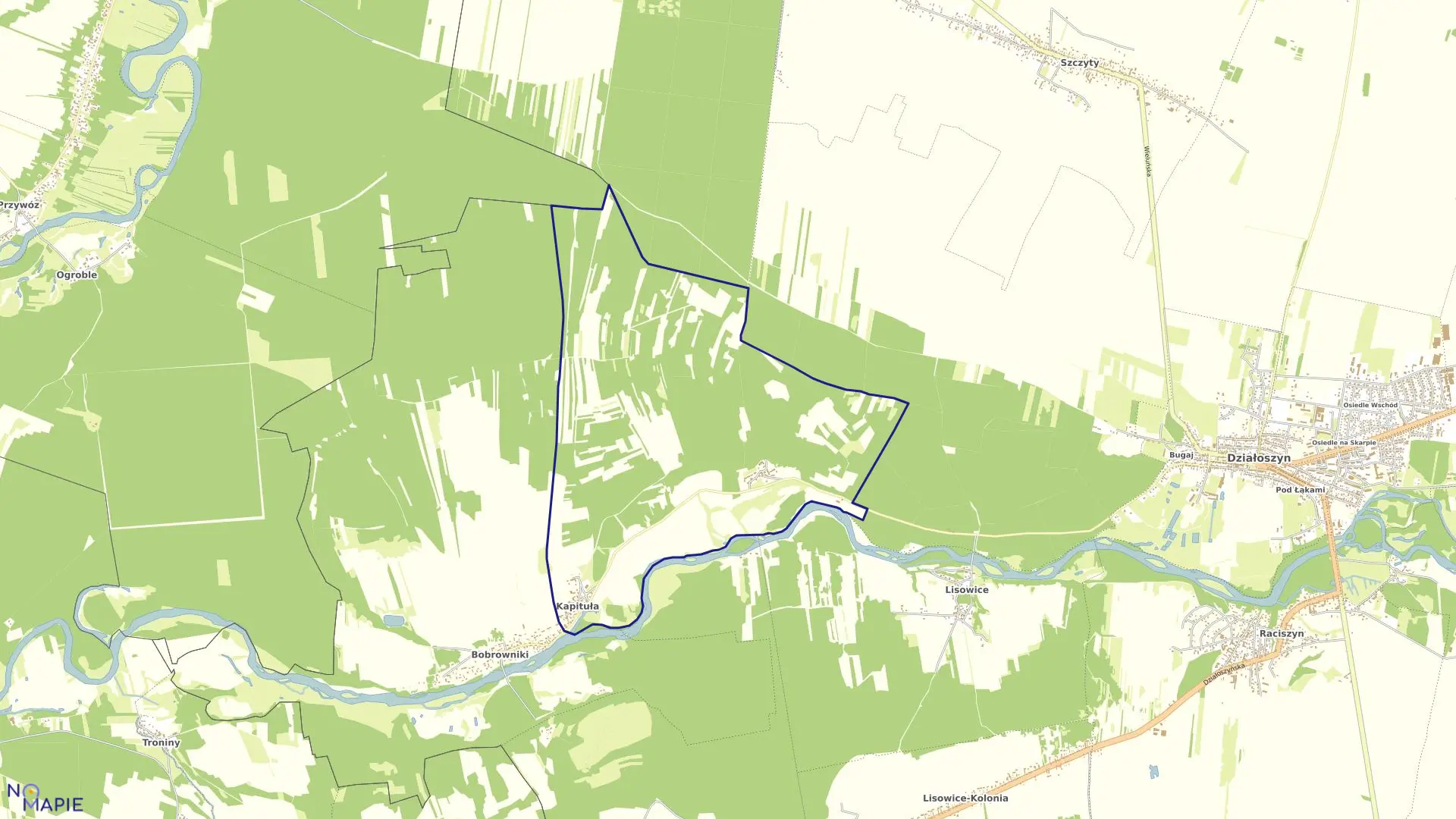Mapa obrębu KAPITUŁA SĘSÓW w gminie Działoszyn