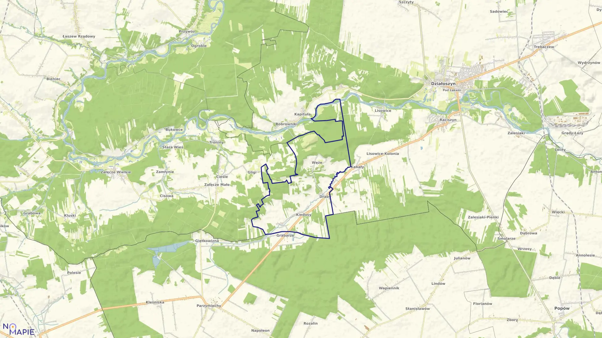 Mapa obrębu KIEDOSY SZCZEPANY w gminie Działoszyn