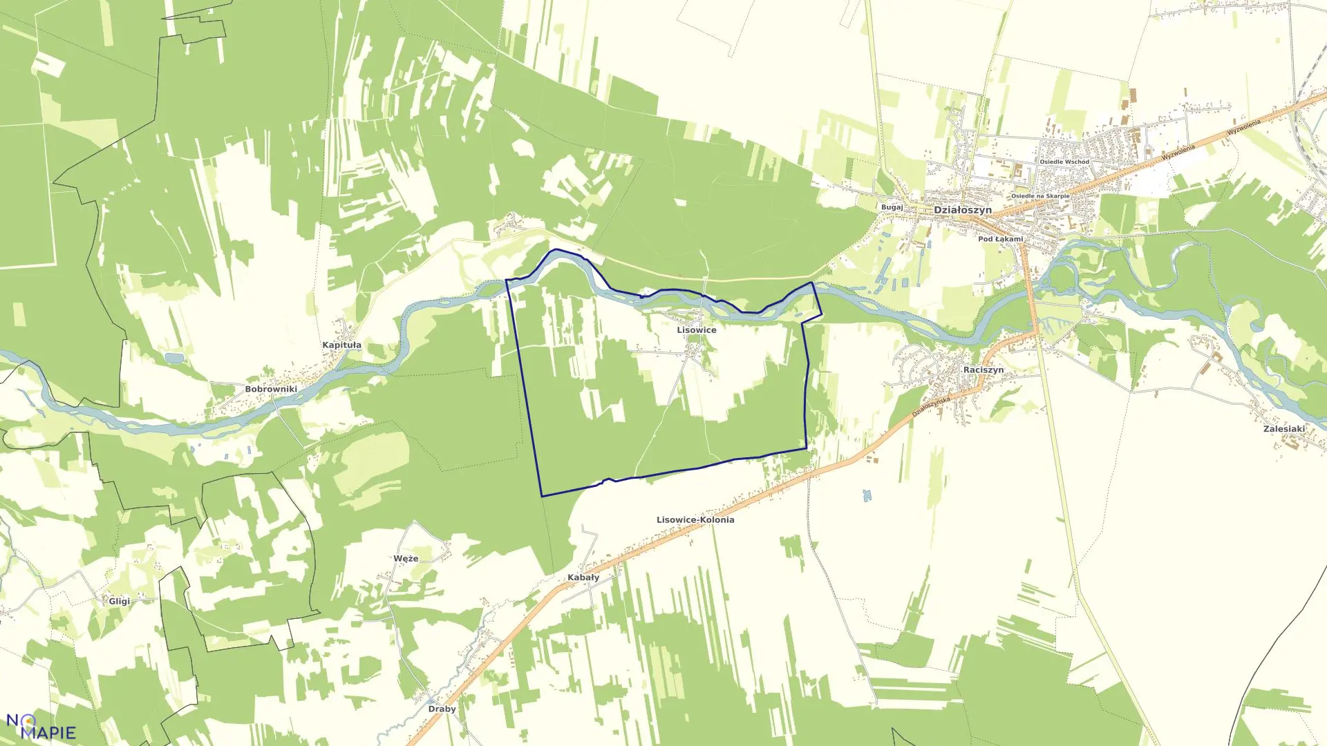 Mapa obrębu LISOWICE w gminie Działoszyn