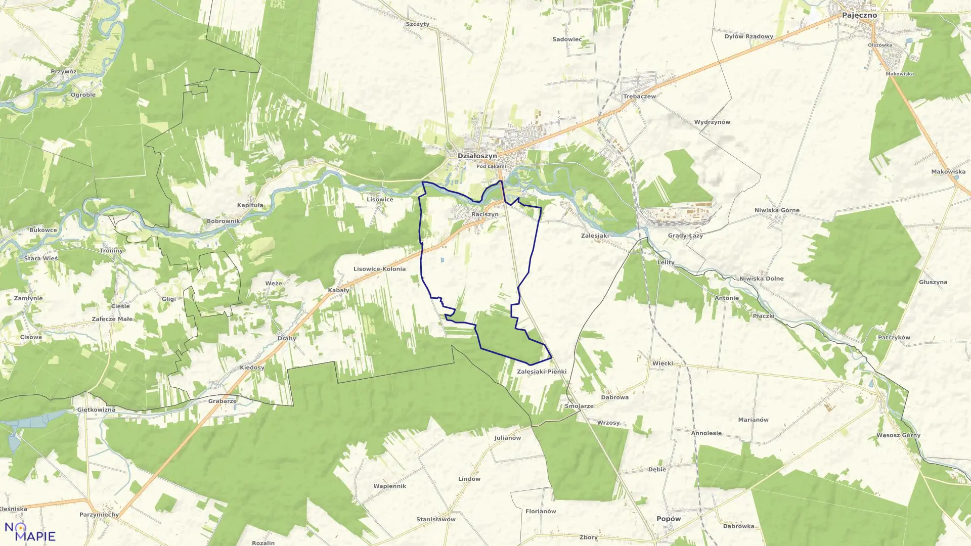 Mapa obrębu RACISZYN w gminie Działoszyn